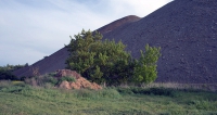https://www.emersonculurgioni.com/files/gimgs/th-46_048.jpg